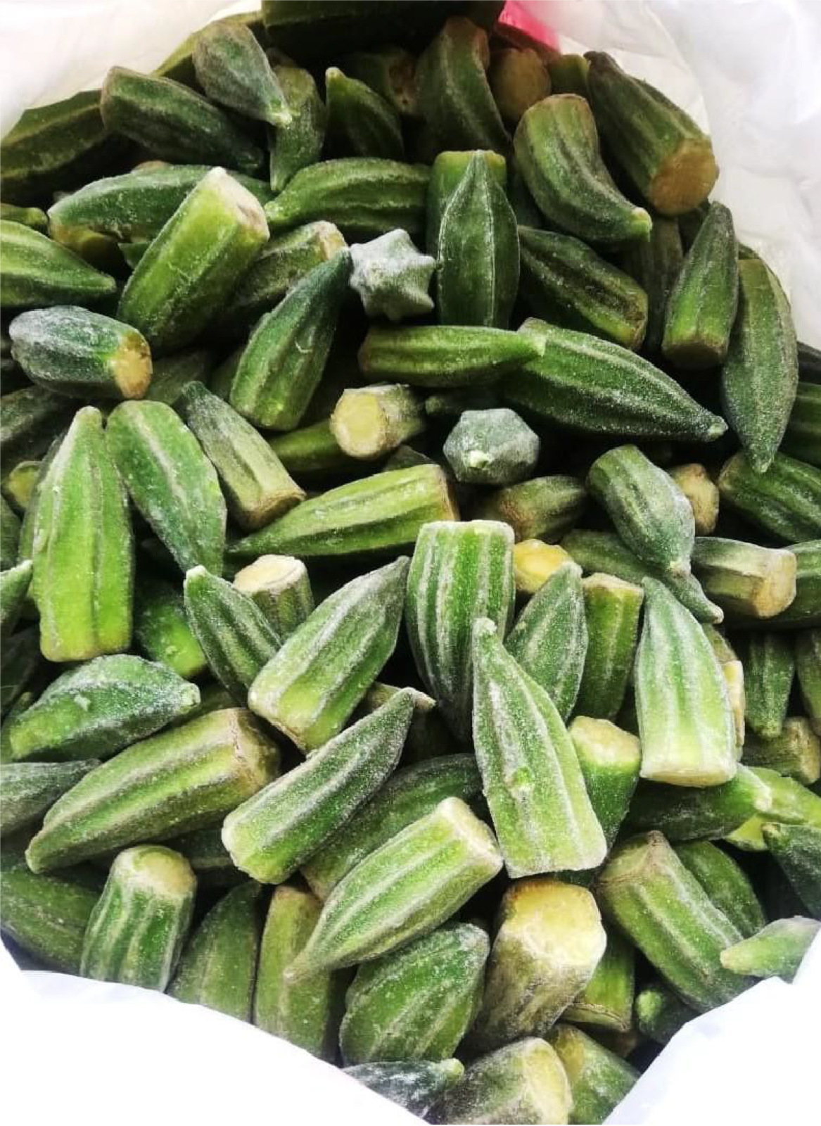 Okra