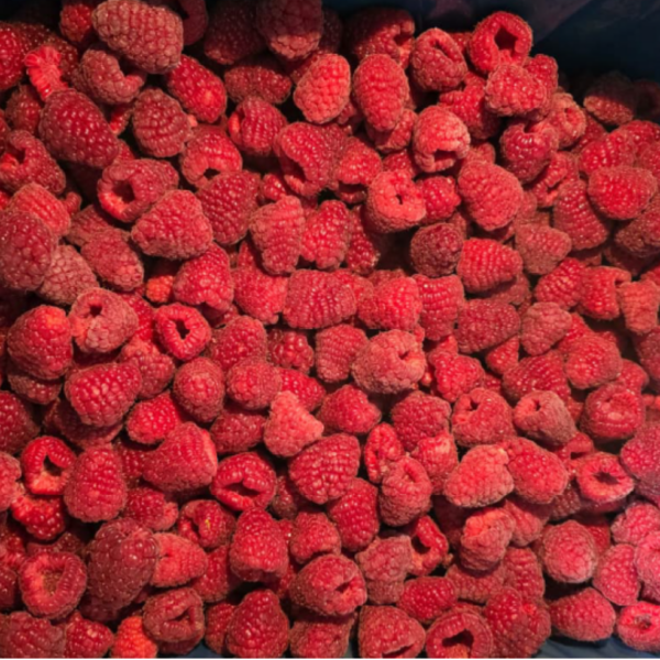 Raspberries